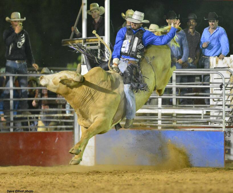 Sonny Schafferius is one of the most consistent bull riders on the pro tour. Picture: Dave Ethell Photos