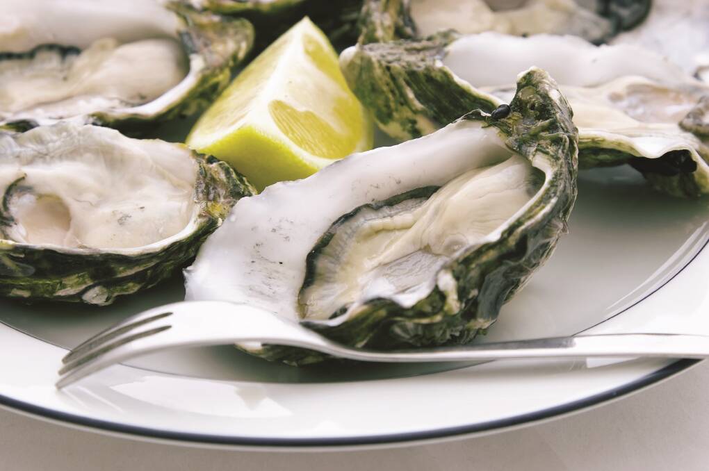 The SA oyster industry is bracing for potentially big losses, on the back of other recent hits, including COVID. Photo: SHUTTERSTOCK