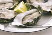 Oyster sector braces for 'devastating' impact