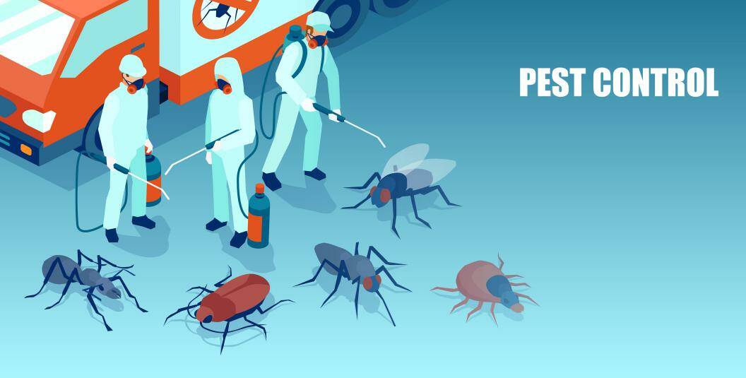 4 Advantages of an annual pest control program