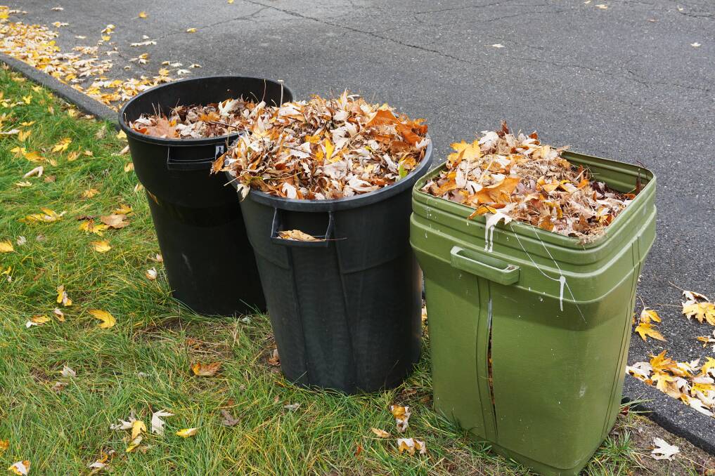 6 Ways to get rid of yard and garden waste