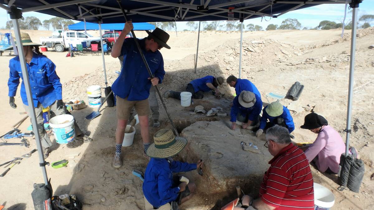 ANCIENT HISTORY: The site where the Ichthyosaur was unearthed in Richmond during the annual Big Big. Photos: Michelle Johnston