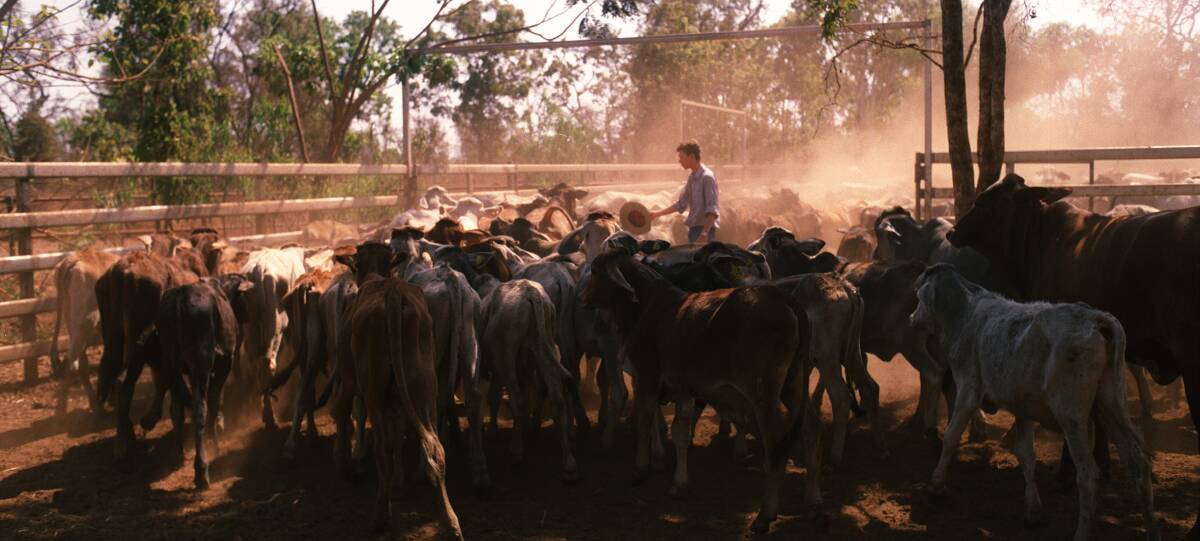 FOOD FIGHT: The Northern Territory Cattlemen's Association says the Army could be needed to ensure Top End cattle stations can get grocery deliveries. 