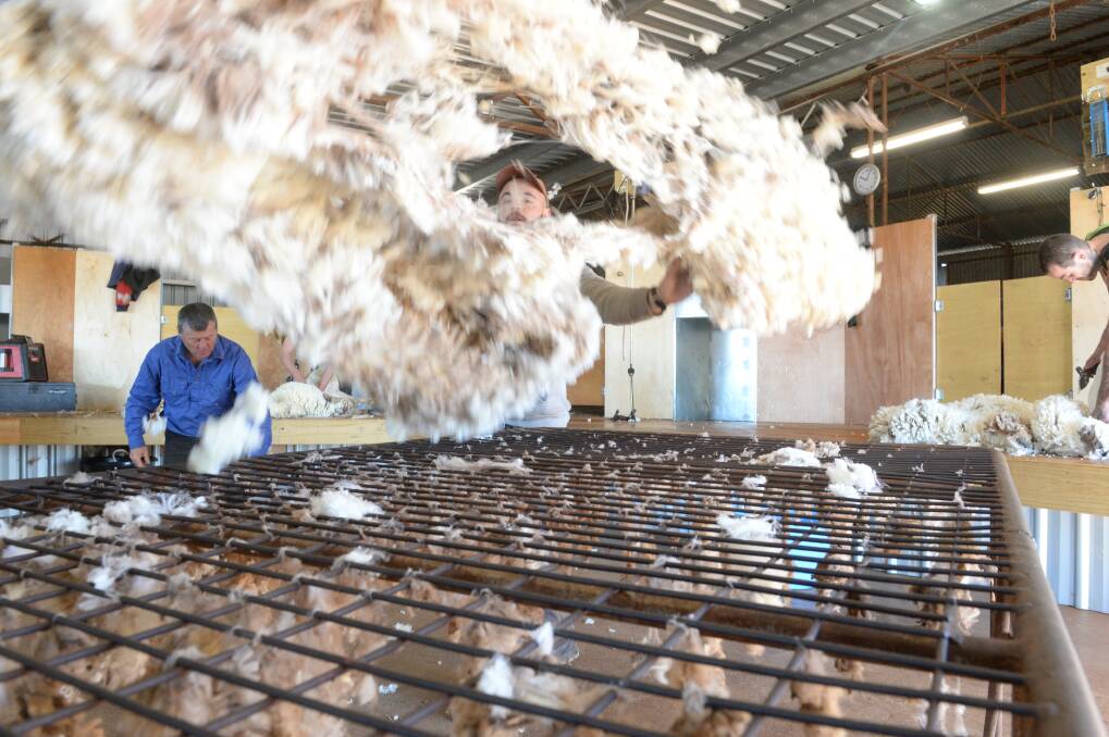 THROWING AWAY GAINS: The wool market has continued its recent downward trend at this week's sales. 