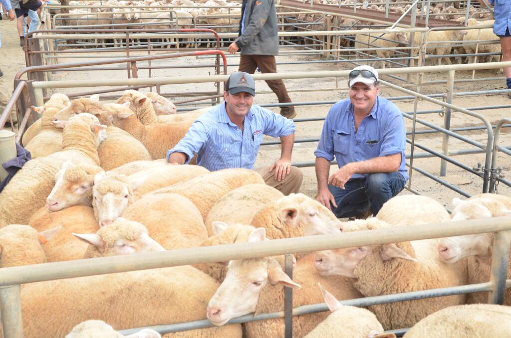 HAPPY DAYS: John Hyland, Peter Milling and Company, with Scott Carney, Strathbeg, Arthurville, near Wellington, with with the last of his heavy prime lambs which fetched $270 a head at Dubbo on Monday. 