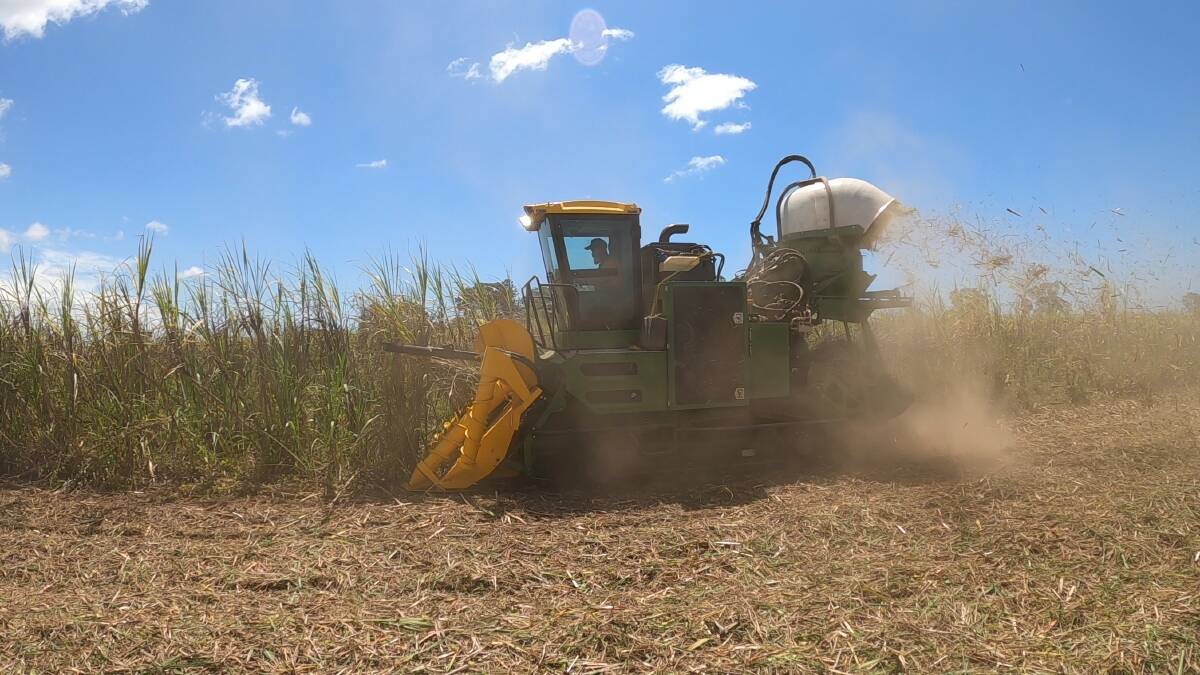 FIELD TESTING: The Canetec YT4000-F model harvester equipped with a Tier 5 engine being tested under field conditions last week. 