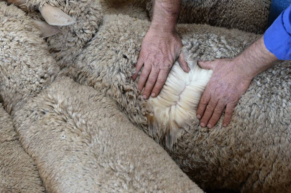 WHAT'S IT WORTH?: Growers are facing tough decisions as the wool market continues to lose ground because of a downturn in demand from China. 