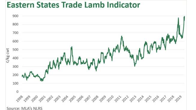How high can lamb prices go as indicator hits 900c?