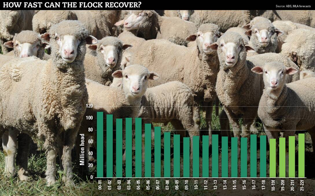 Industry leaders are hoping sheep numbers can quickly climb back over 70 million with a return of good seasons.