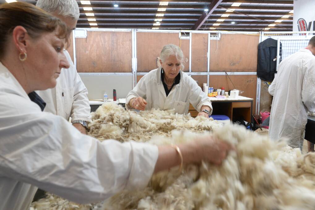 FINDING DIRECTION: The wool market has continued to perform erratically with no clear direction on where prices will settle. 