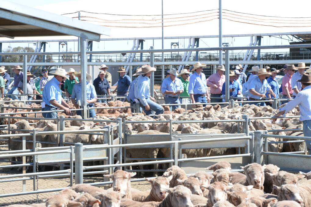 WELCOME RAIN: Long-awaited rain in parts of NSW, while nowhere near enough to break the drought, has reduced sheep and lamb yardings at key saleyards this week and nudged up prices. 