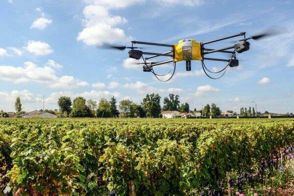 EYE ON THE CROP: Drones provide a quick and cheap way of monitoring crops including identifying weed and pest problems. 