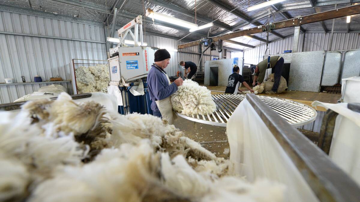 The long dry period experienced across much of Australia's wool growing areas is still making its presence felt with fleece quantities and qualities still in decline mode. 