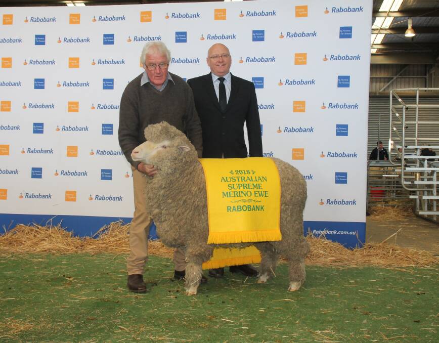 PREMIER EWEW: The supreme Australian ewe for 2018 was bred by Paul Walton of Wurrook stud, Rokewood, Victoria. Pictured is John Crawford of Rock-Bank stud, Victoria Valley, Victoria, who exhibited the ewe on behalf of Wurrook and Peter D'Esposito, Deputy Regional Manager - Central NSW, Rabobank.