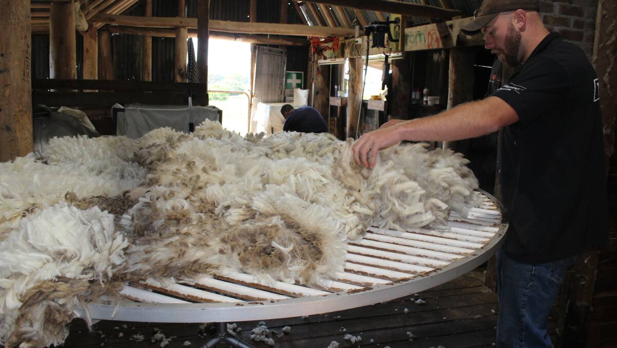 Wool market stays steady for beginning of 2021 season. 