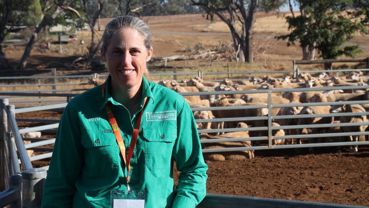 Central West region secretary Ruth Klingner of Ridgehaven Poll Dorsets, Cudal, NSW, said the conference saw attendees to network, share knowledge and believes it put the breed in a good place moving forward into the future.