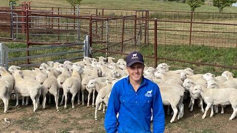 Jaiden McNally with the July 2020-drop commercial Australian White ewe lambs that sold on AuctionsPlus for $650 last week. Photo supplied. 