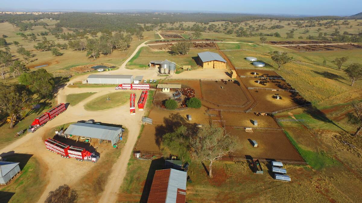 Nullamana feedlot at Inverell has been sold to Paraway Pastoral. The feedlot is now fully stocked and backgrounding capacity for a further 2000 head is being established. 