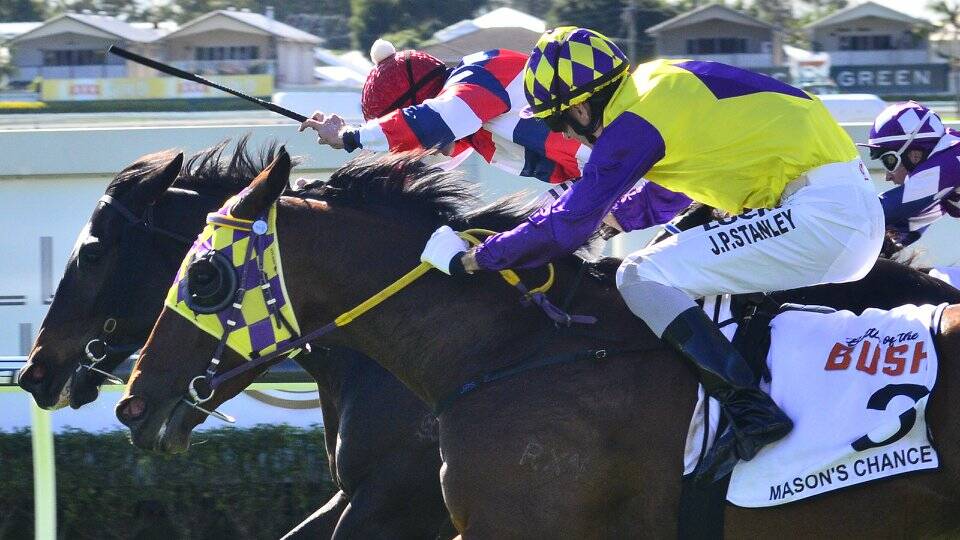 Mackay galloper Mason’s Chance flashed home on the outside to edge out Bush Caviar by a short half head in last year’s Battle of the Bush series final at Doomben. 