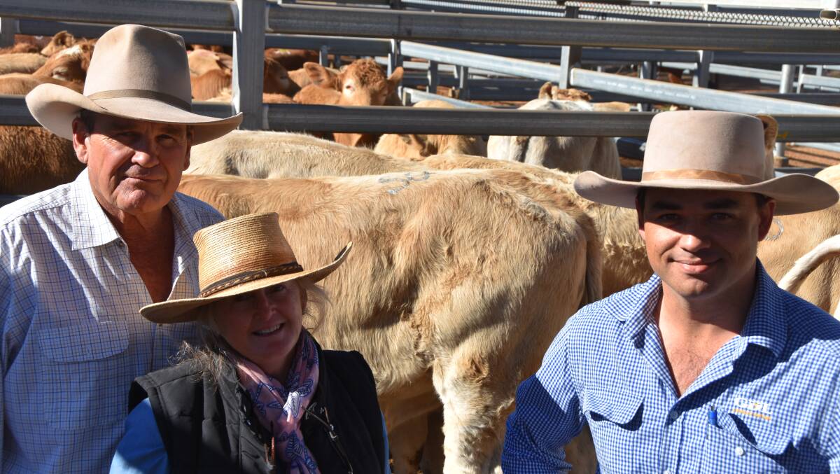 George and Jenny Bambling with GDL agent Jack Burgess in front of their Charolais-cross weaners from Hazelmere. 