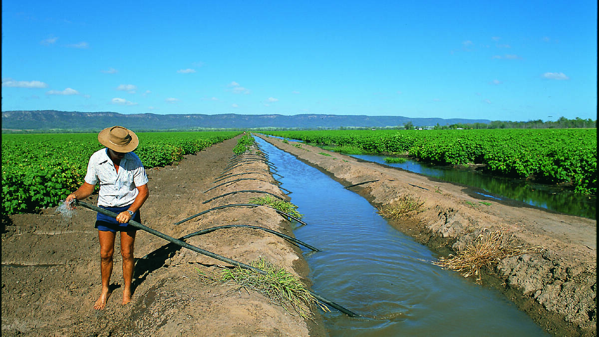 Time is running out for those wanting to have their say on Queensland's irrigation pricing review. 
