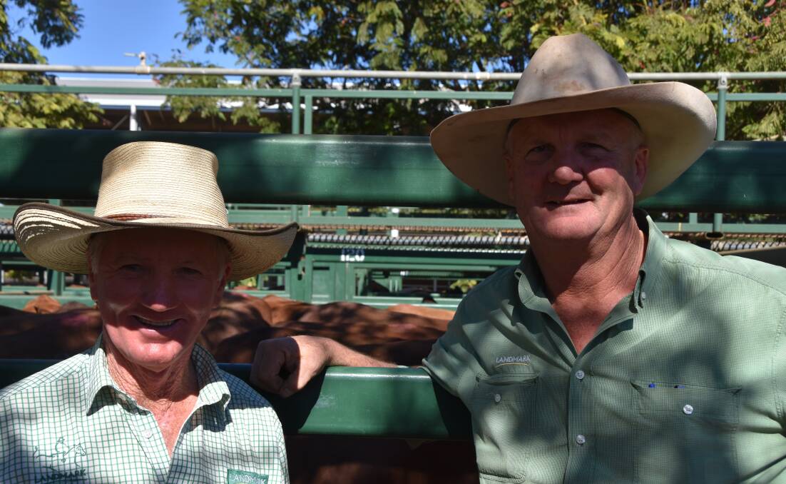 Terry Ryan, Landmark Chinchilla, and Boyd Curran, Landmark Western, were pleased with the strong demand from buyers on the day. 