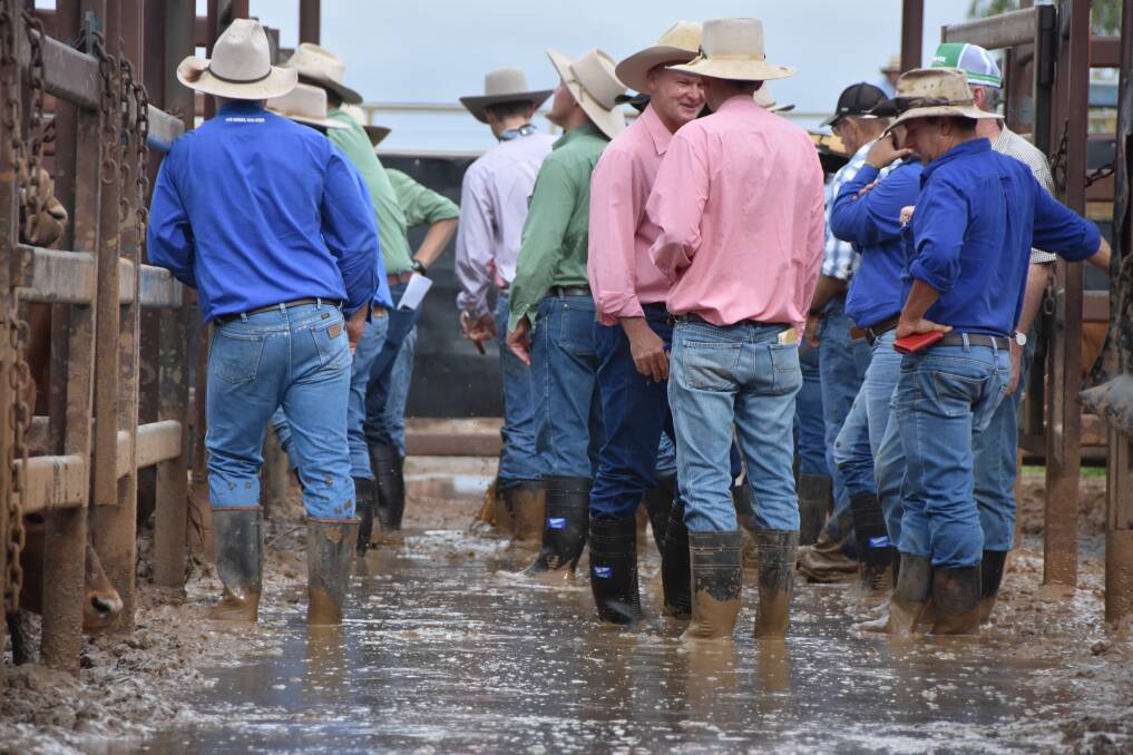 Gumboots were in high demand for the Longreach sale on Friday. 
