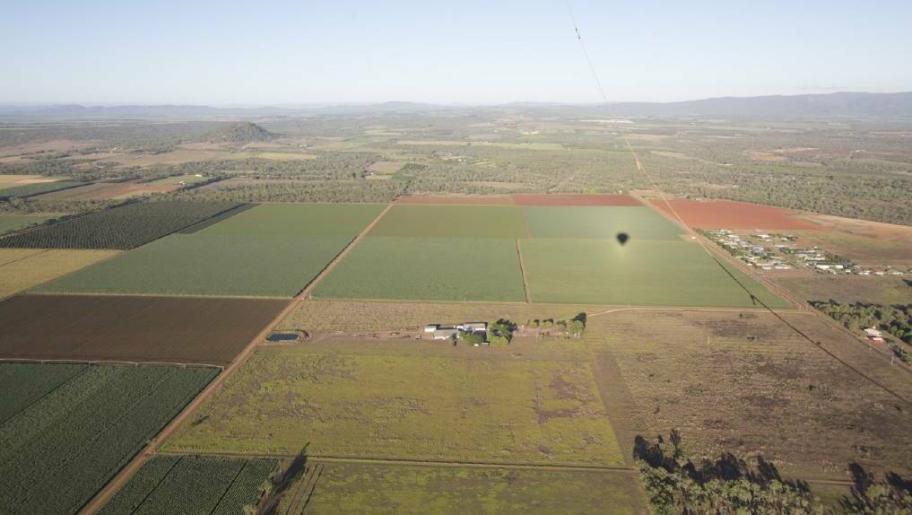 The Mareeba-Dimbulah Irrigation Area was once a tobacco growing region but now supports mostly horticulture and sugar cane. Photo: courtesy Tropical Tablelands Tourism.