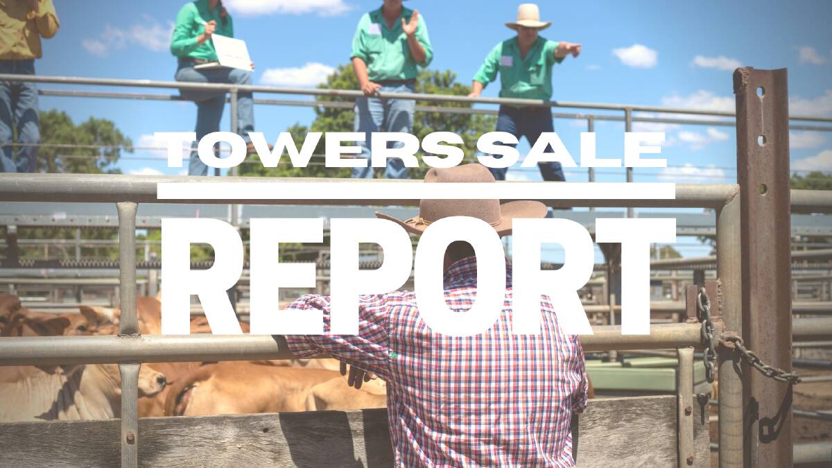 Steers make 254c/$474 at Charters Towers