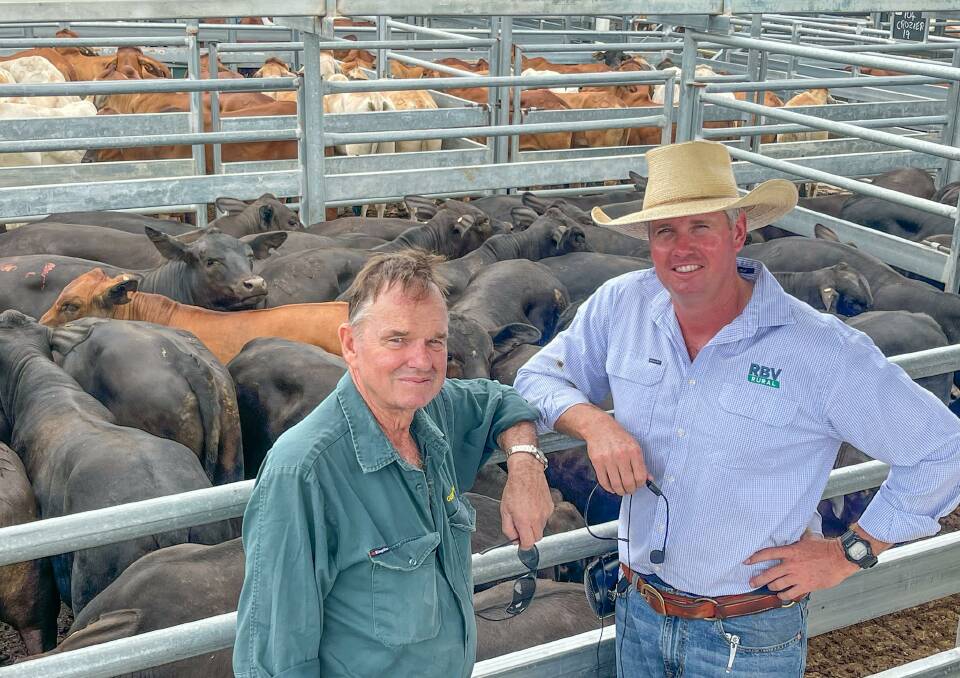 Vendor John Prewett of Glendariwell, west of Emerald, and livestock agent Matt Beard, RBV Rural, Emerald, with the Prewett family's Brangus steers, weighing 320kg, which made 464c/kg and return $1485/head. 