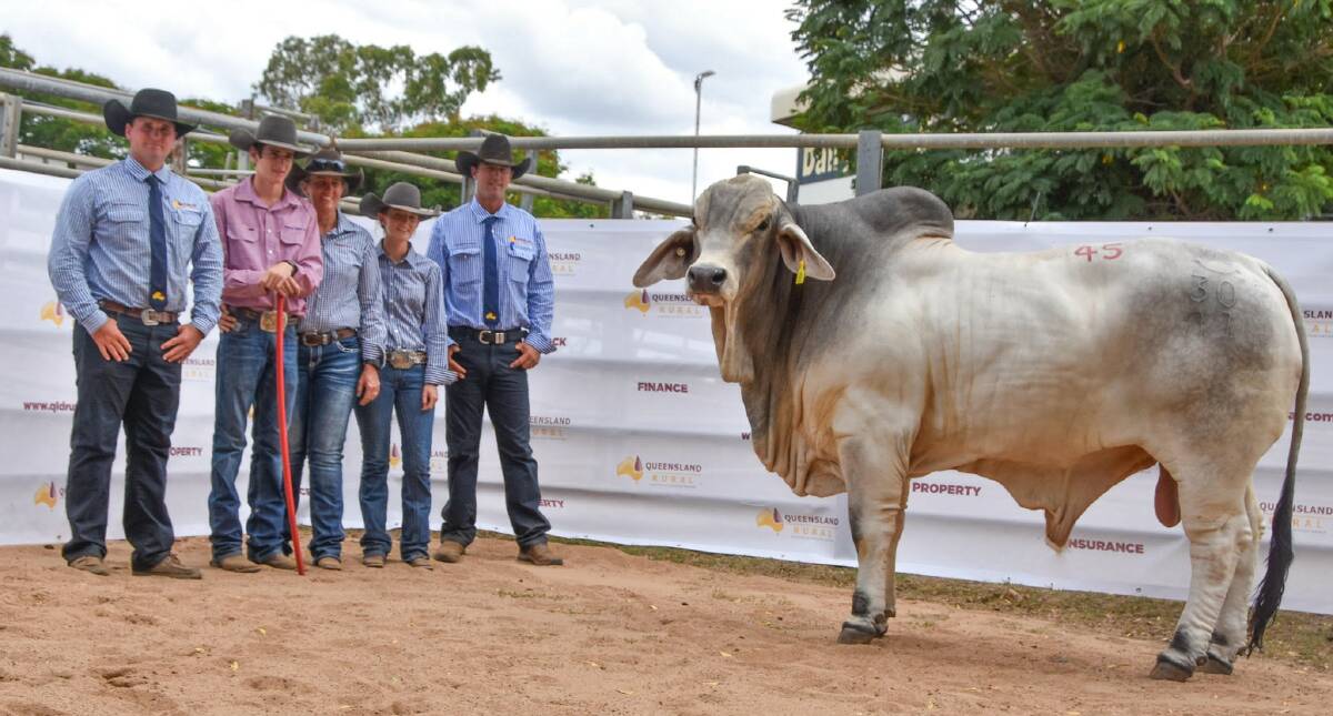 The $47,500 sale topper Wallace Mr Unlimited 30/21, with vendors (middle) Kerry, Emily and Tom Wallace, Wallace Cattle Co, Marlborough, and selling agents Dustyn Fitzgerald and John Martin on each side. Picture: Ben Harden 