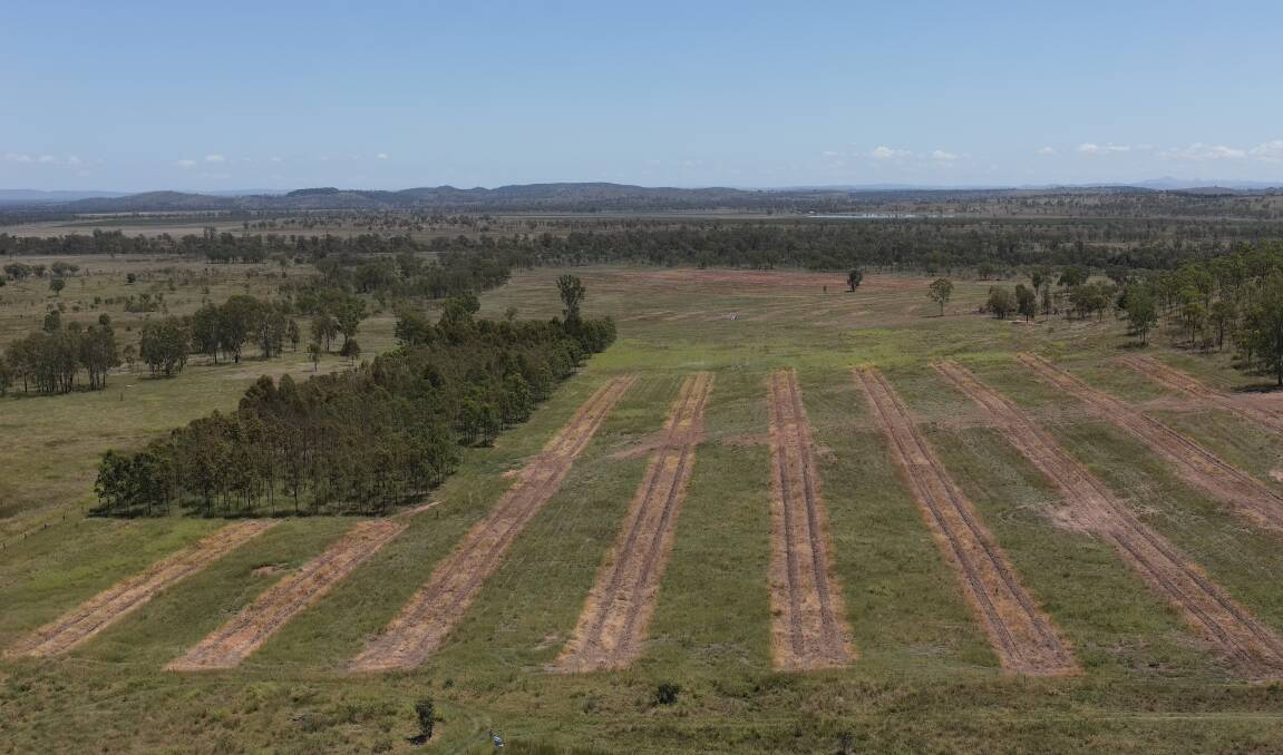 Brian Pasture Research Facility with a 25 ha of hardwood plantation established in 2022 and animals will be incorporated in May this year. Picture supplied 