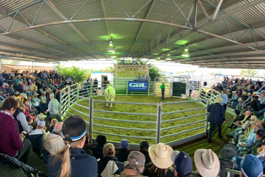 BULL SALE RECORDS BROKEN: There wasn't a spare seat at the Emerald Ag-Grow Premier Multi-breed Bull Sale, which continues to be a massive draw card event. 