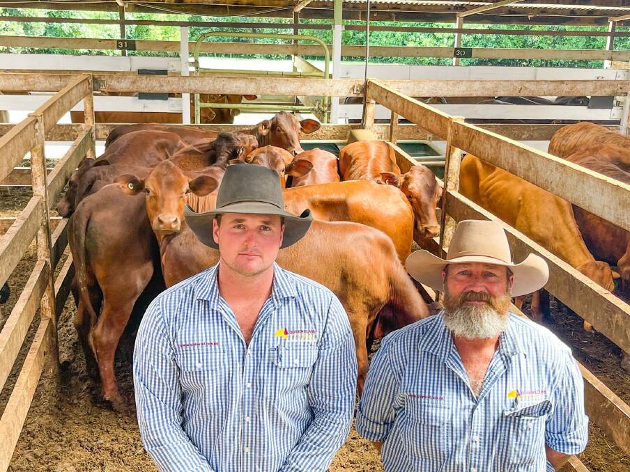 Queensland Rural livestock agents' Dustyn Fitzgerald and Craig Herring, Charters Towers, pictured with a pen of Santa cross heifers, offered by D & H Nasser, which made $1625 per head. Picture by Ben Harden 