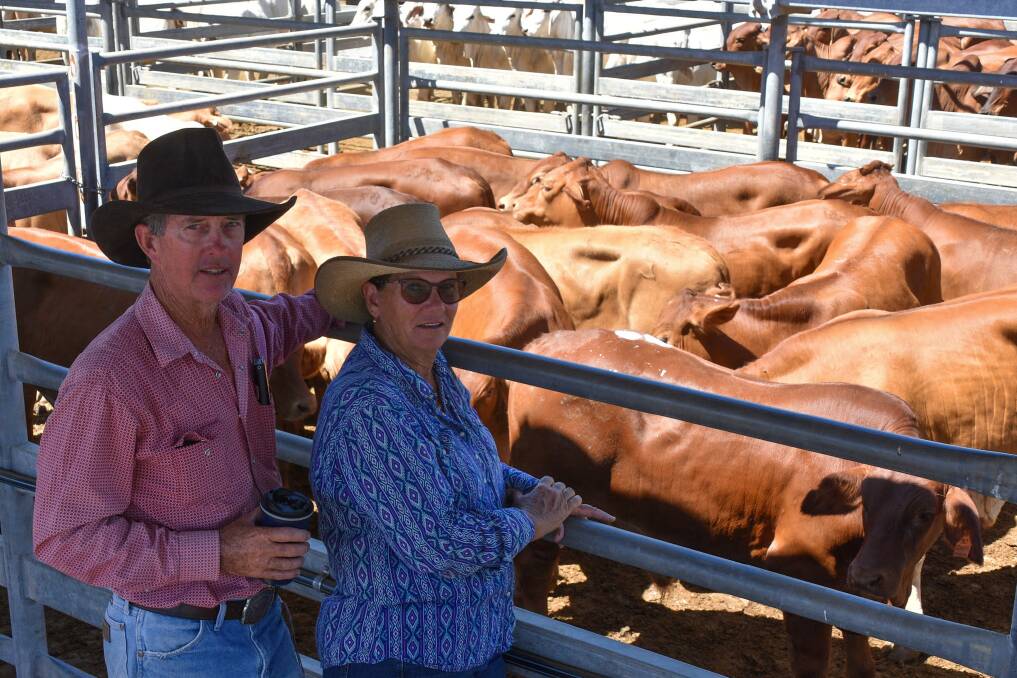 Local vendors Andrew and Sam Bulger of Serento, Willows, sold Droughtmaster cross weaner steers which made 376.2c/kg at Thursday's Emerald sale. Picture: Ben Harden 