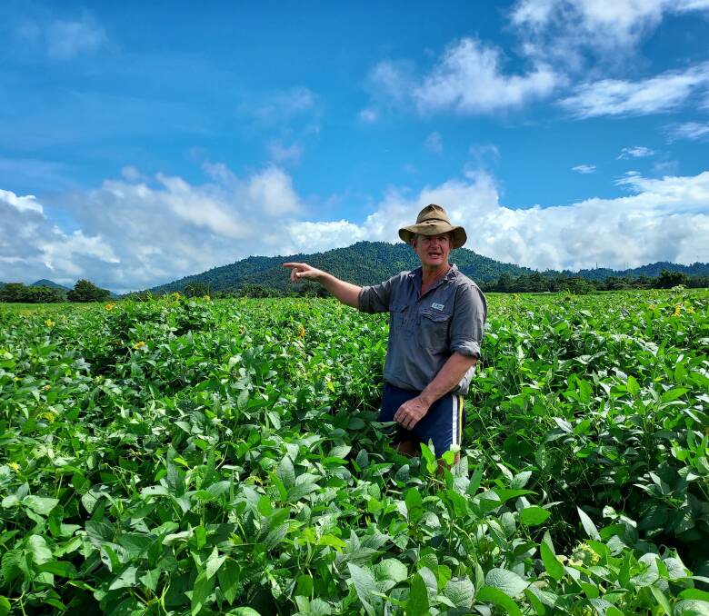 East Feluga cane farmer Chris O'Kane showing other growers his mixed species fallow crop. Picture: Julie Lightfoot 