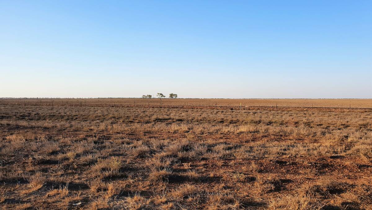 Central west Queensland, in between Barcaldine and Ilfracombe, where it still remains dry in isloated places. Picture by Sally Gall
