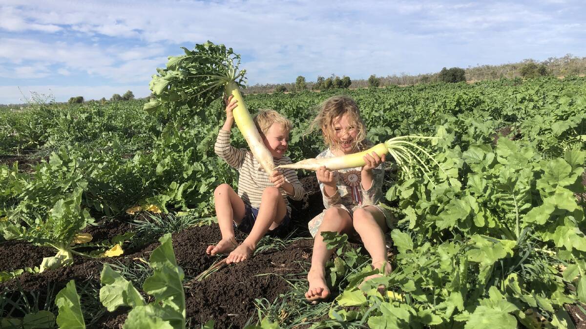 Fletcher and Ava in their family's radish cover crop. Picture supplied. 