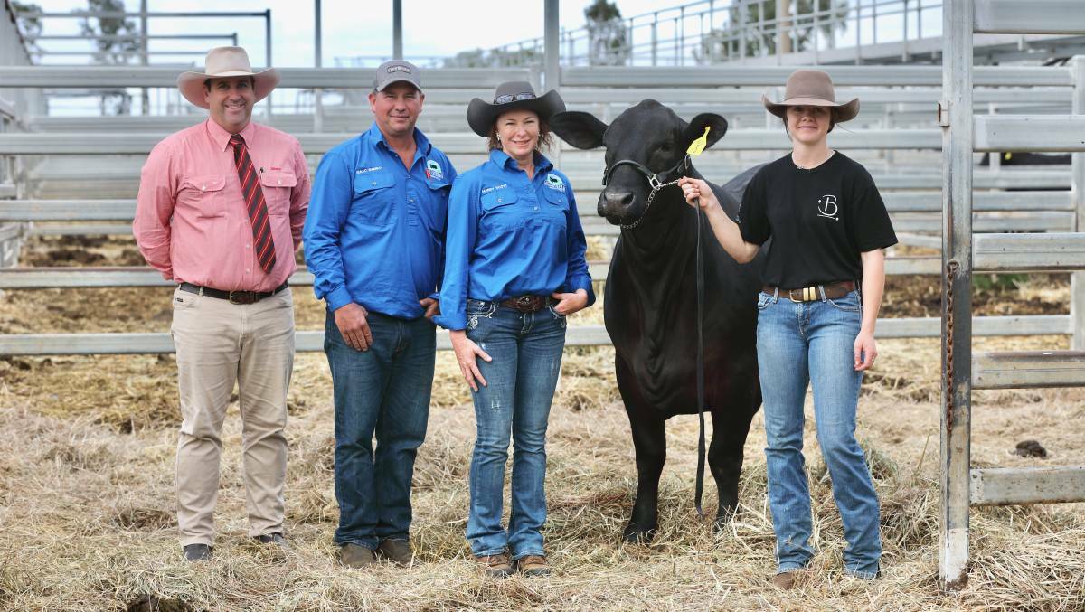 In 2022, Millstream Springs secured the $45,000 top selling female of the Rockhampton Brangus sale, Barronessa Aspen 820S1. Picture by Kent Ward