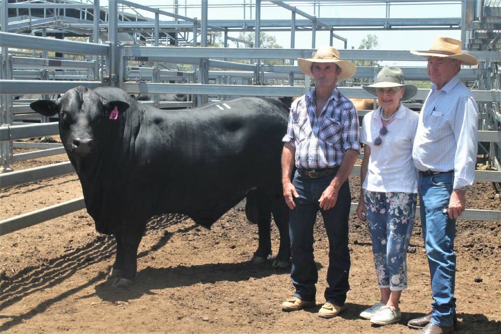 Top price bull at the Central Brangus Classic was awarded to Earlwood 3741 (P) which sold for $40,000 and is pictured with vendor Mick Madden, Earlwood Brangus, Duaringa and buyers Anne and Ian Galloway, Duarran Brangus, Roma. Photo: Ben Harden