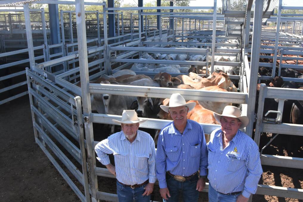 Repeat buyer Clive Albert, Valley High, South Yamba, bought 76 Brahman steers weighing 276kg from vendor Trevor Pullen, Montrose, Marlboroug for 600c/kg to return $1658 per head, with selling agent Brian Dawson, Brian Dawson Auctions. 