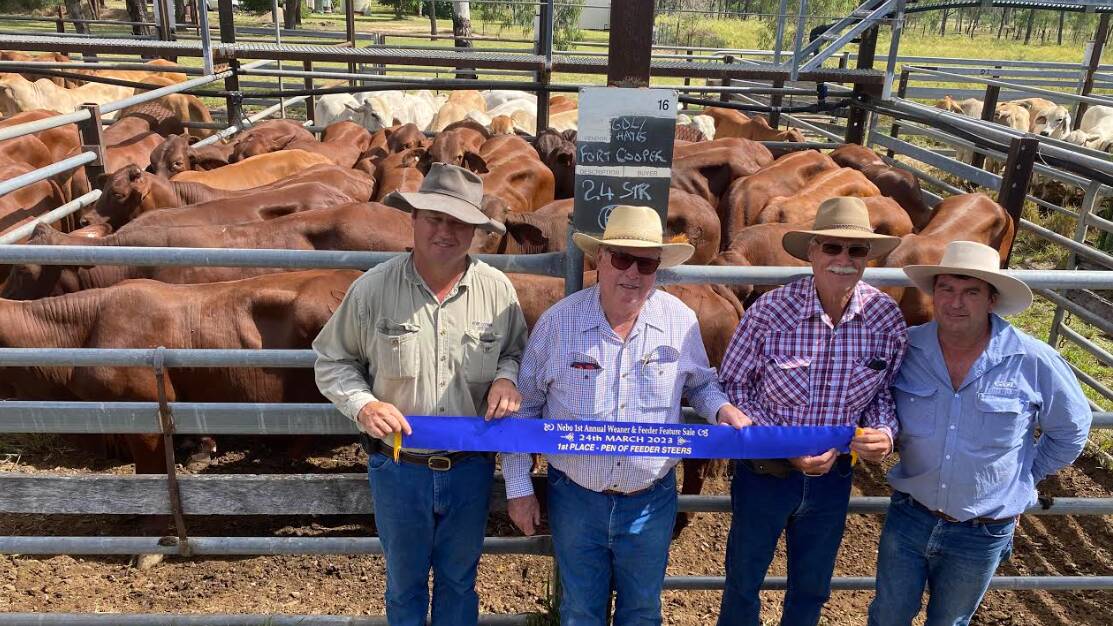Ben, Ian, Peter and John Michelmore of Fort Cooper Past Co and Tony Dwyer, GDL Mackay, pictured with Fort Cooper's first place feeder steer and reserve champion pen of Santa steers. Picture supplied by GDL Mackay 