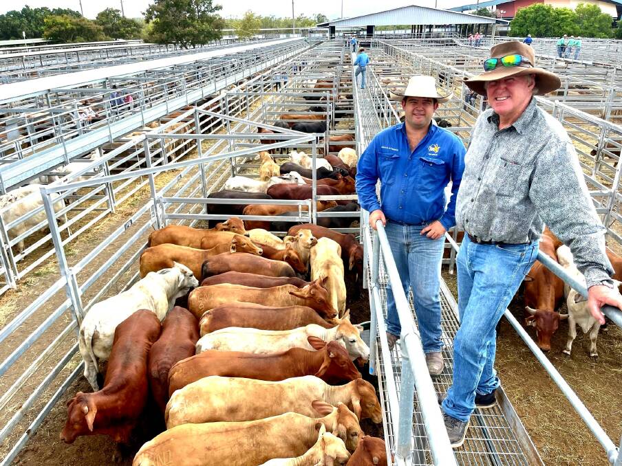 CQLX: Stock agent Morgan Harris of TopX Gracemere, and Bill Kirkwood, Maryvale, Yeppoon, with an Akubra Downs run of Santa cross Charbray bullocks, which sold for 448c/kg, or $2840 per head on Wednesday. Photo: Ben Harden
