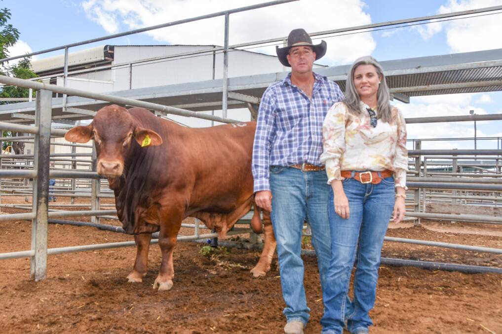 Setting a new sale-record top price was Lamont USA, which sold to Alex and Maree Power of Lazy A Droughtmasters, Debella Station, Julia Creek. Picture by Sheree Kershaw 