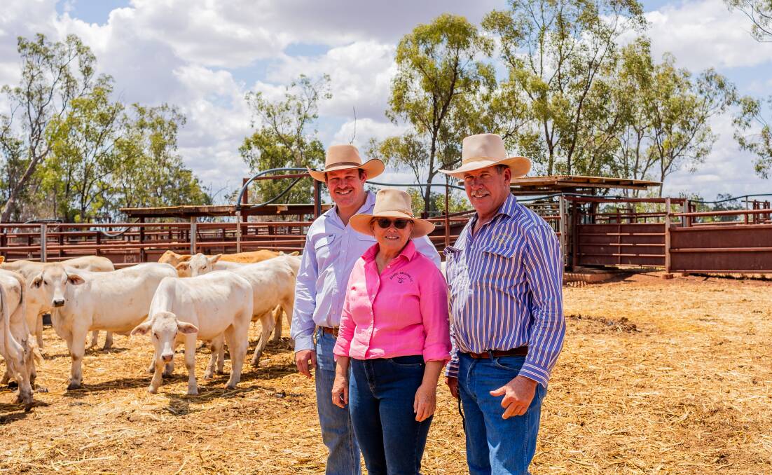 Matt, Bev and Peter Quinn of Essex Grazing Co, Middlemount, with some of their steers. Picture: Beef Australia