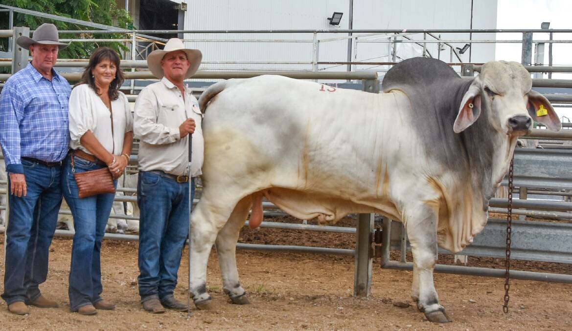 Commercial buyers' Patrick and Delinda Sheahan of The Valley of Lagoons, Greenvale, secured Cambil Carbine 6120 for $21,000, which was offered by Lawson Camm, Cambil Stud. 