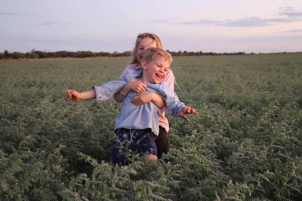 Siblings Ava, 6, and Fletcher Garside, 4, in their family's chickpea crop at Hazledeen, 36km north of Capella. Picture: Supplied by Drew Garside 