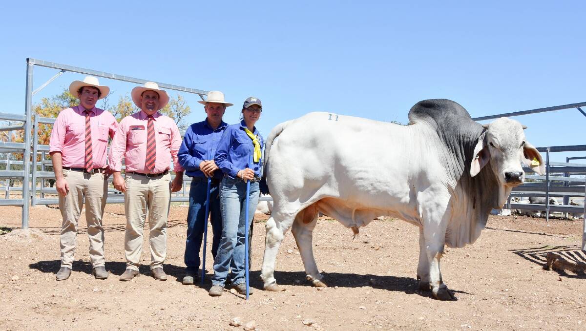 SALE TOPPER: Elders Clermont selling agents Jake Kennedy and Anthony Ball, Karmoo Brahman stud principals Lance and Kirstin Faint, Marmordale, Clermont, with Karmoo Wobbly Arrow (PS). Picture: Ben Harden 