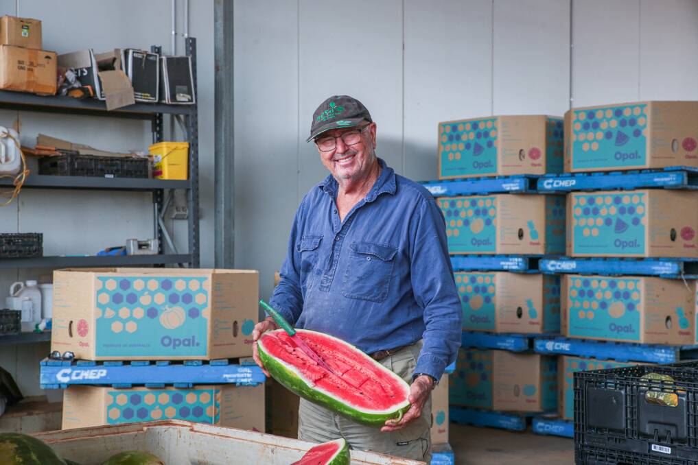 Watermelons: $5. An old truck with a tray piled with hefty watermelons parked
beside the highway between Townsville and Charters Towers stands as a sample of
the hundreds of acres of fresh produce grown at Jon Caleo's Black River
Produce enterprise. 