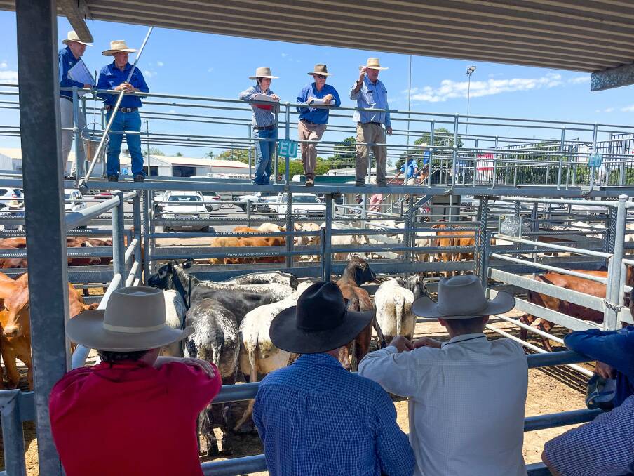 Livestock agent Greg Hardgrave of CRT Country Co, Blackwater, sold a pen of Speckled Park cross Santa steers, weighing 410kgs, offered by Hutton family of Togara, Comet, which made 490c/kg to gross $2009/head. 